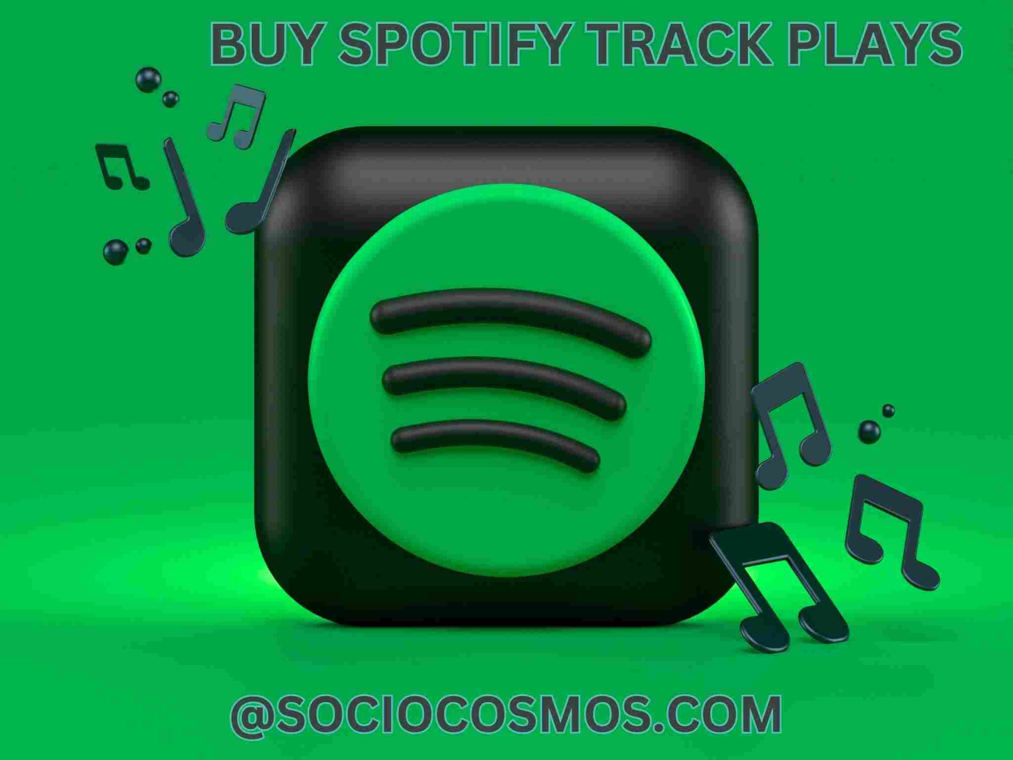 BUY SPOTIFY TRACK PLAYS