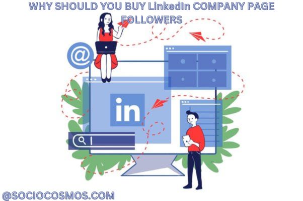 WHY SHOULD YOU BUY LinkedIn COMPANY PAGE FOLLOWERS