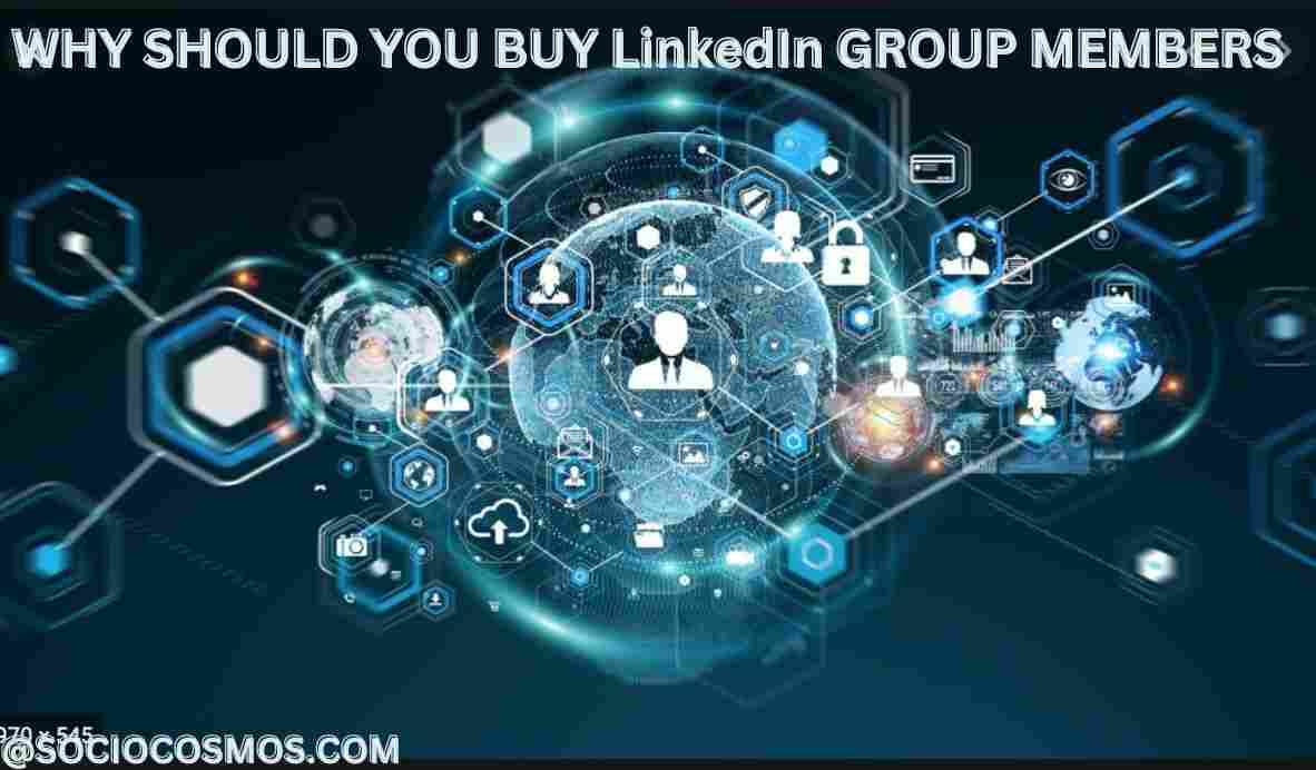 WHY SHOULD YOU BUY LinkedIn GROUP MEMBERS