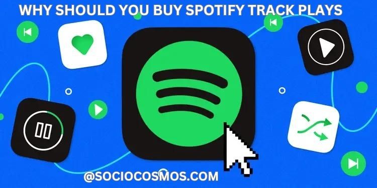 WHY SHOULD YOU BUY SPOTIFY TRACK PLAYS