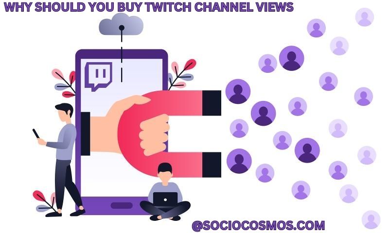 WHY SHOULD YOU BUY TWITCH CHANNEL VIEWS